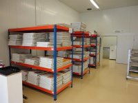 BHS FS 850- 10F Stampatrice flexo in linea