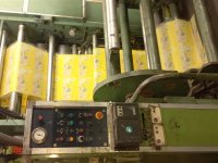 CARINT GEMINI Macchina da stampa flexo 8 colori