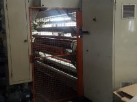 5 strati T4  Estrusore cast / a testa piana